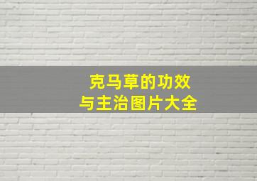 克马草的功效与主治图片大全