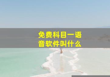 免费科目一语音软件叫什么