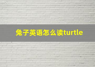 兔子英语怎么读turtle