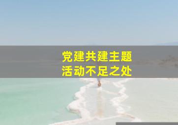 党建共建主题活动不足之处