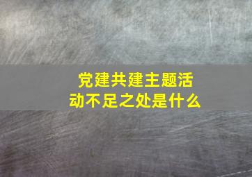 党建共建主题活动不足之处是什么