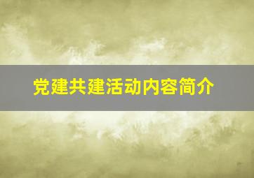 党建共建活动内容简介