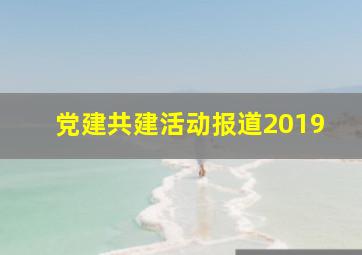 党建共建活动报道2019