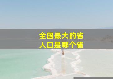 全国最大的省人口是哪个省