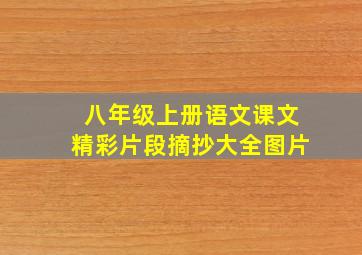 八年级上册语文课文精彩片段摘抄大全图片