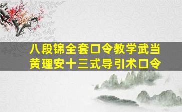 八段锦全套口令教学武当黄理安十三式导引术口令