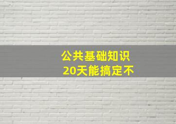 公共基础知识20天能搞定不