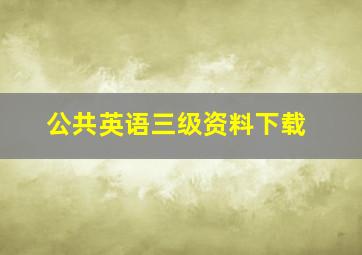 公共英语三级资料下载