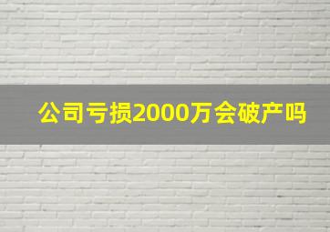 公司亏损2000万会破产吗