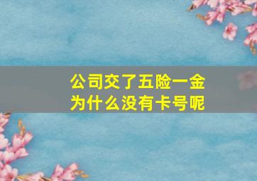 公司交了五险一金为什么没有卡号呢