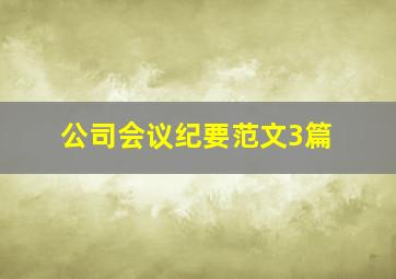 公司会议纪要范文3篇