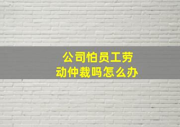 公司怕员工劳动仲裁吗怎么办