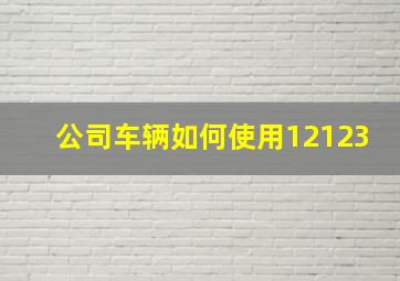 公司车辆如何使用12123