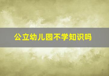 公立幼儿园不学知识吗