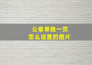 公章单独一页怎么设置的图片