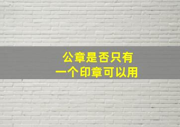 公章是否只有一个印章可以用