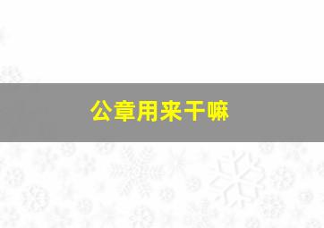 公章用来干嘛