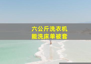 六公斤洗衣机能洗床单被套