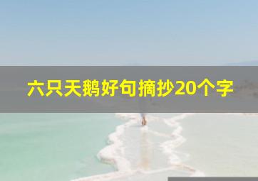 六只天鹅好句摘抄20个字