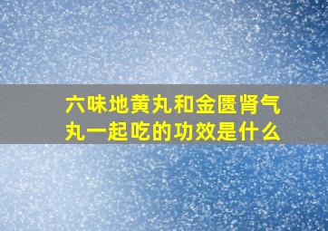 六味地黄丸和金匮肾气丸一起吃的功效是什么