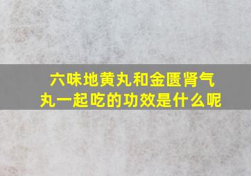 六味地黄丸和金匮肾气丸一起吃的功效是什么呢