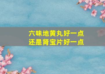 六味地黄丸好一点还是肾宝片好一点