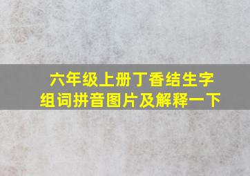 六年级上册丁香结生字组词拼音图片及解释一下