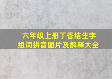 六年级上册丁香结生字组词拼音图片及解释大全