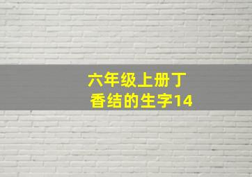 六年级上册丁香结的生字14