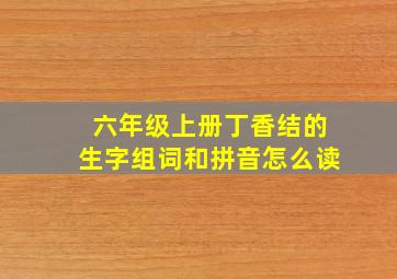 六年级上册丁香结的生字组词和拼音怎么读