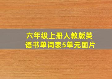 六年级上册人教版英语书单词表5单元图片