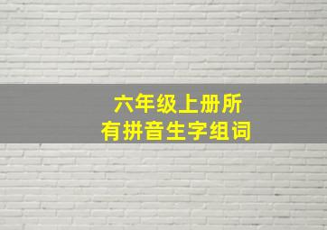 六年级上册所有拼音生字组词