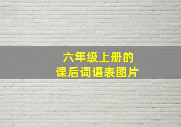 六年级上册的课后词语表图片