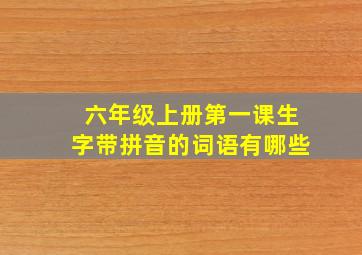 六年级上册第一课生字带拼音的词语有哪些