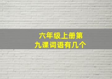 六年级上册第九课词语有几个