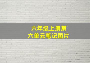 六年级上册第六单元笔记图片