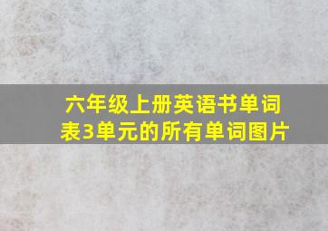 六年级上册英语书单词表3单元的所有单词图片