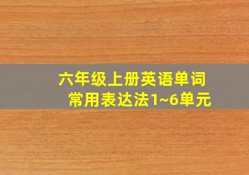 六年级上册英语单词常用表达法1~6单元