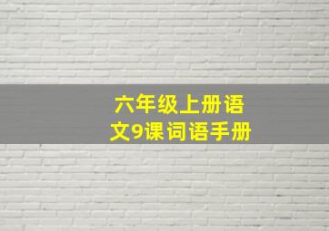 六年级上册语文9课词语手册