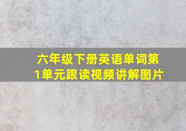 六年级下册英语单词第1单元跟读视频讲解图片