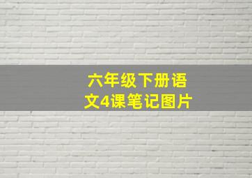 六年级下册语文4课笔记图片