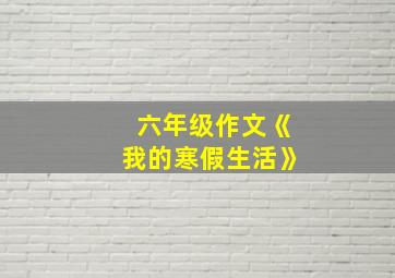 六年级作文《我的寒假生活》