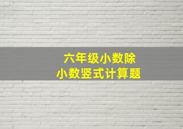 六年级小数除小数竖式计算题