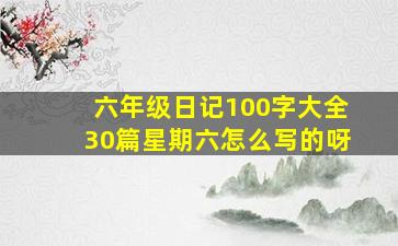 六年级日记100字大全30篇星期六怎么写的呀