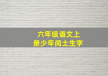 六年级语文上册少年闰土生字