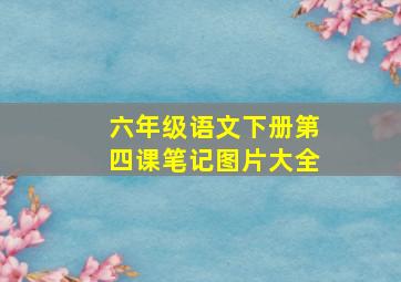 六年级语文下册第四课笔记图片大全