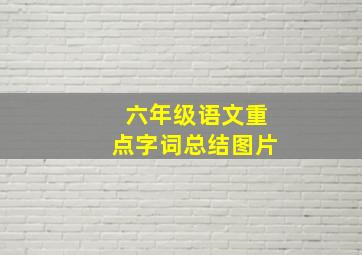 六年级语文重点字词总结图片