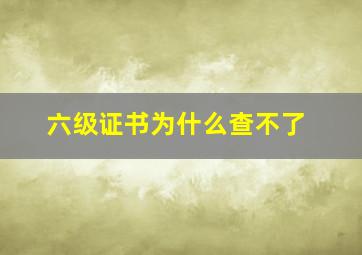 六级证书为什么查不了