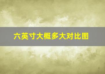 六英寸大概多大对比图