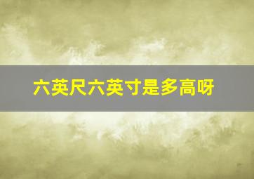 六英尺六英寸是多高呀